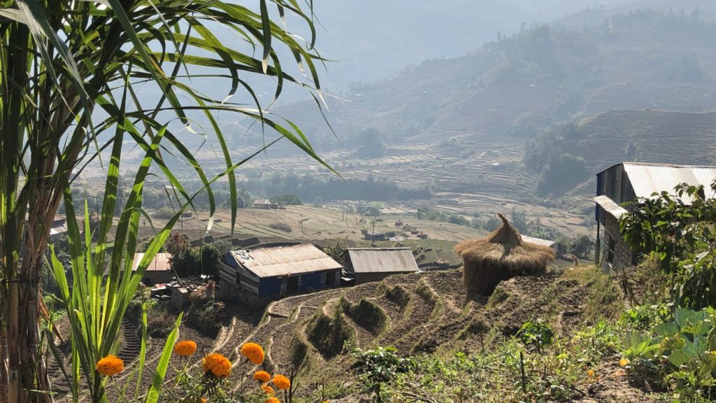 A landscape in Nepal shoping a couple of small buildings in the foreground, green land behind and a hill in the background. The slopes are cut into to create flat tiers.
