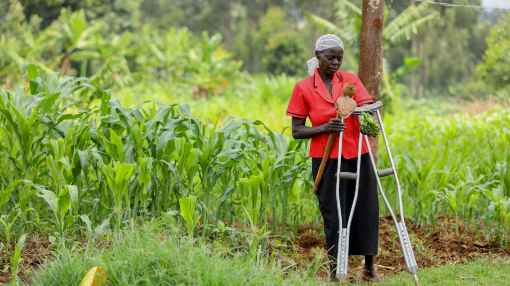 A woman holding crutches inspects sorghum crops growing in the field behind her.